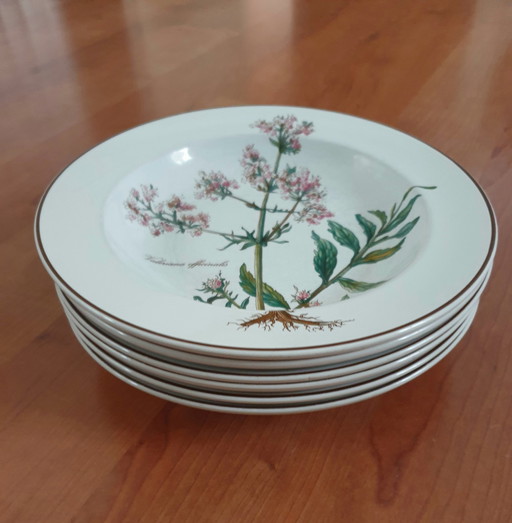 6X Deep Plate Botanica, Villeroy En Boch