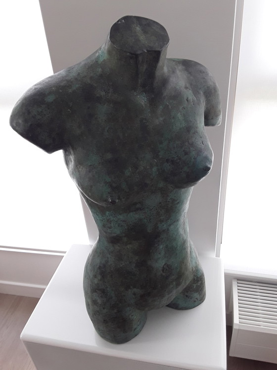 Image 1 of torso woman