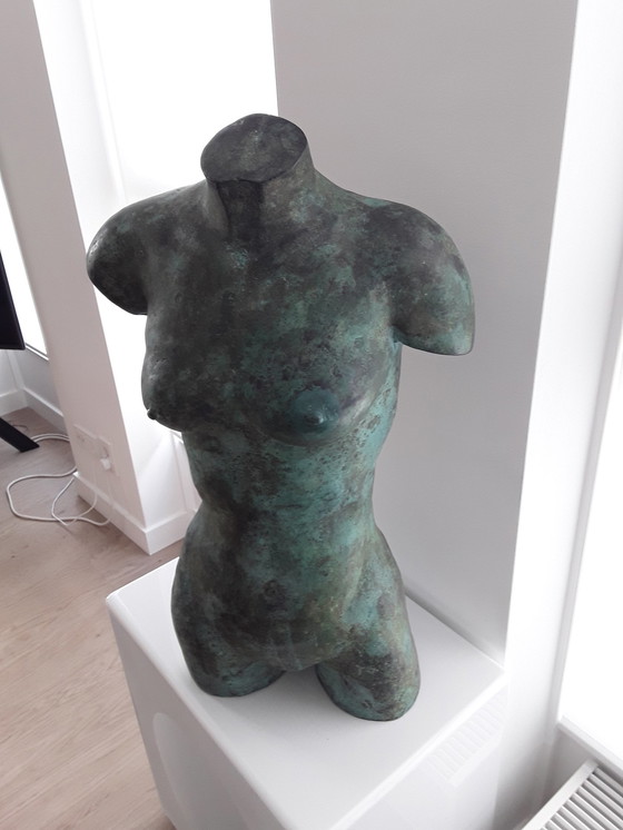 Image 1 of torso woman