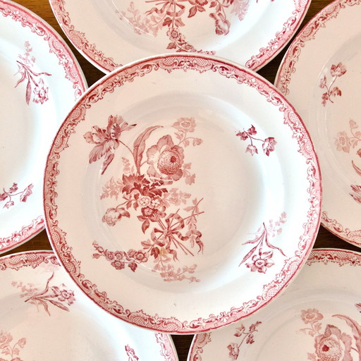 Assiettes Du Xixe Siècle Terre De Fer Rose Sarreguemines "Fontanges