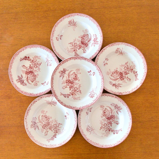 Assiettes Du Xixe Siècle Terre De Fer Rose Sarreguemines "Fontanges