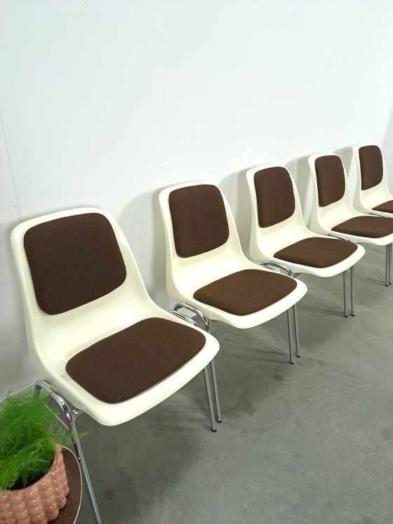 Image 1 of Plastic Ama Chair With Chrome Legs And Brown Cushions