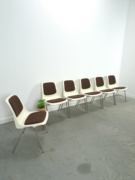 Image 1 of Plastic Ama Chair With Chrome Legs And Brown Cushions