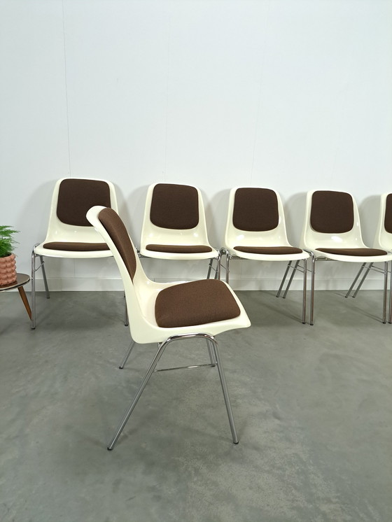 Image 1 of Plastic Ama Chair With Chrome Legs And Brown Cushions