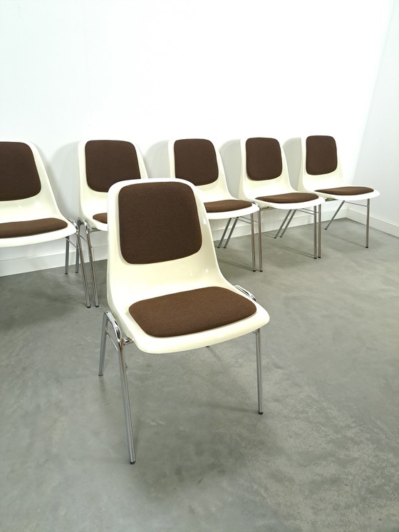 Image 1 of Plastic Ama Chair With Chrome Legs And Brown Cushions