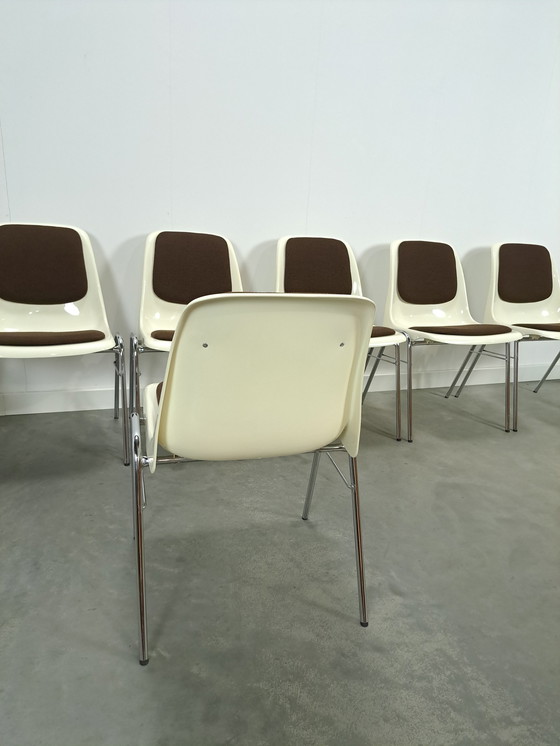 Image 1 of Plastic Ama Chair With Chrome Legs And Brown Cushions