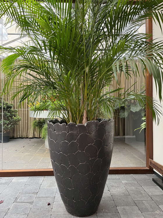 Image 1 of Ecri Living flower pot