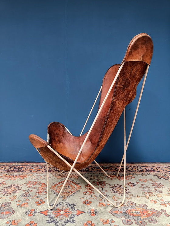 Image 1 of Fauteuil papillon vintage