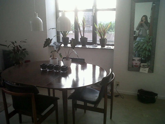 Image 1 of Scandinavian dining set