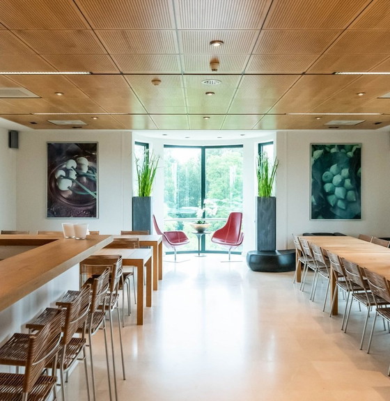 Image 1 of 4 X Miss B Chairs By Tito Agnoli For Pierantonio Bonacina