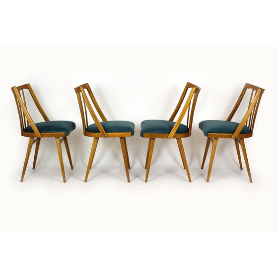 Image 1 of Set of 4 vintage oak dining chairs for Interier Praha, 1960