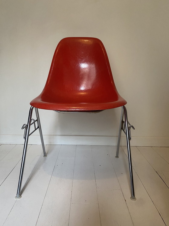 Image 1 of Eames Dss Chair Fibre De Verre, Herman Miller