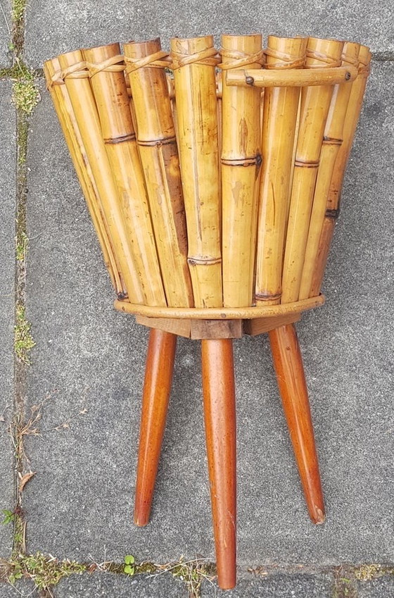 Image 1 of Bamboo Plant Stand