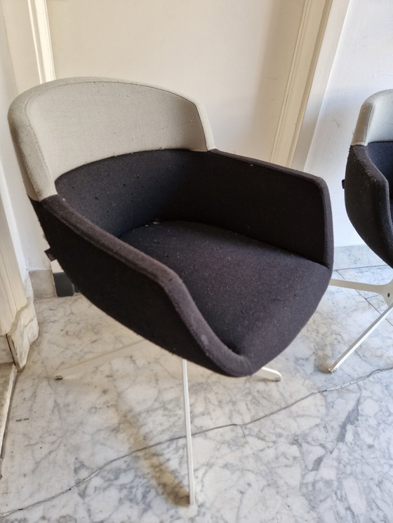 Image 1 of 2 X Artifort "Mood" (Dining) Chairs - René Holten Design - Wool