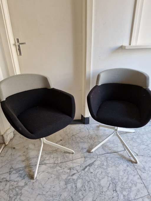 2 X Artifort "Mood" (Dining) Chairs - René Holten Design - Wool