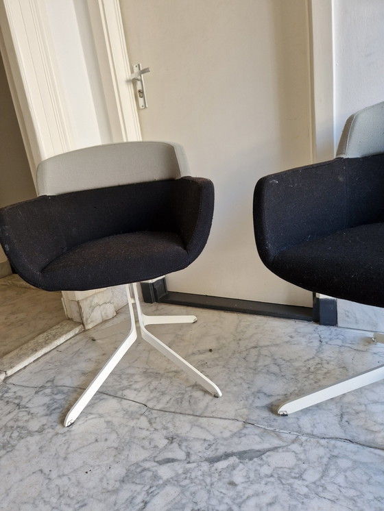 Image 1 of 2 X Artifort "Mood" (Dining) Chairs - René Holten Design - Wool