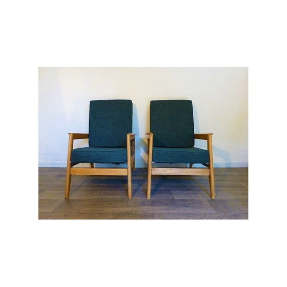 Image 1 of Pair of vintage freespan armchairs Molèle FS107, 1950