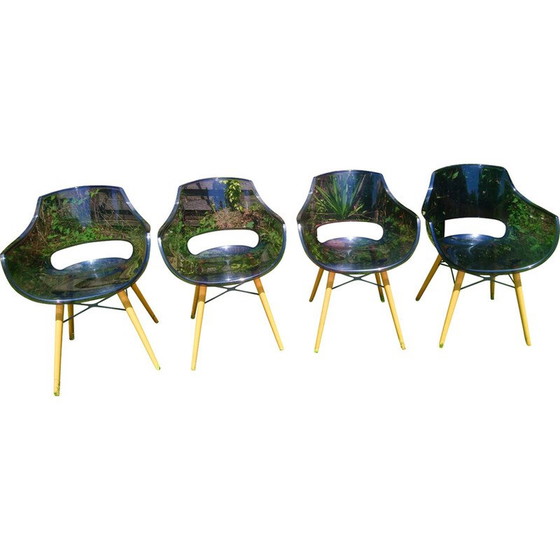 Image 1 of Set of 4 vintage Opal Wox chairs in polycarbonate and beech legs