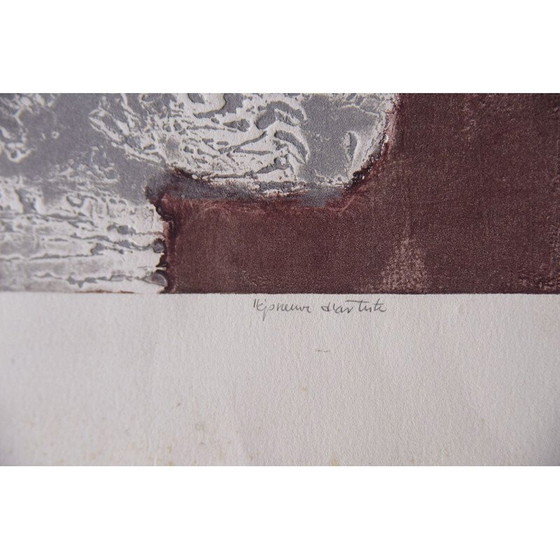 Image 1 of Vintage lithograph "Insect on Rock" by Ru van Rossem, 1962