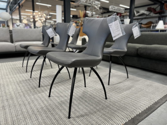 Image 1 of 6 chaises de salle à manger Leolux Callas Cuir gris