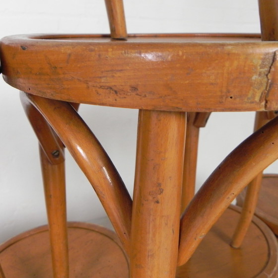 Image 1 of Tabourets en hêtre de style Thonet, années 1950