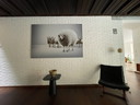 Lieven Dirck's photography