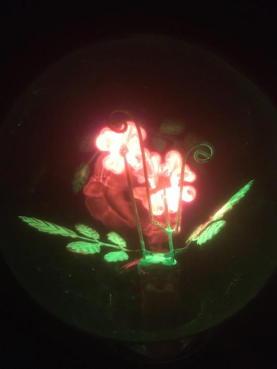 Image 1 of Aerolux gas discharge lamp with flowers and leaves