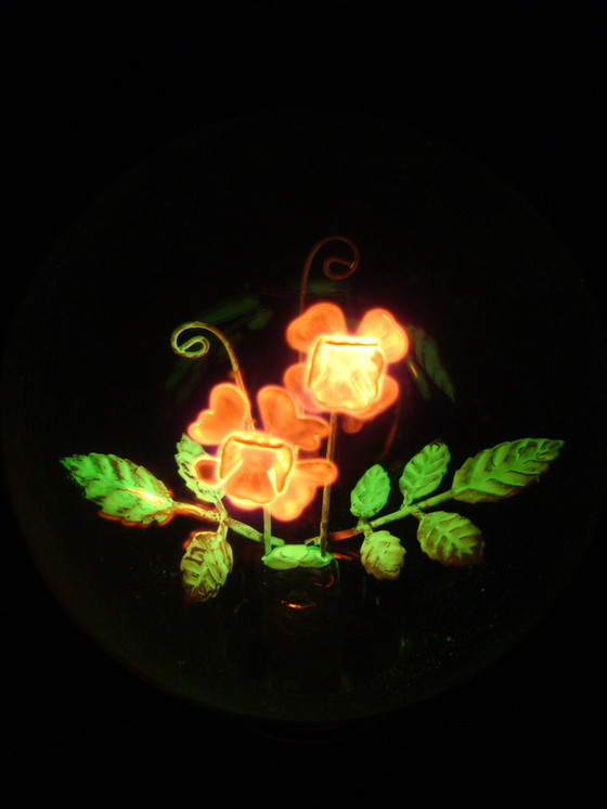 Image 1 of Aerolux gas discharge lamp with flowers and leaves