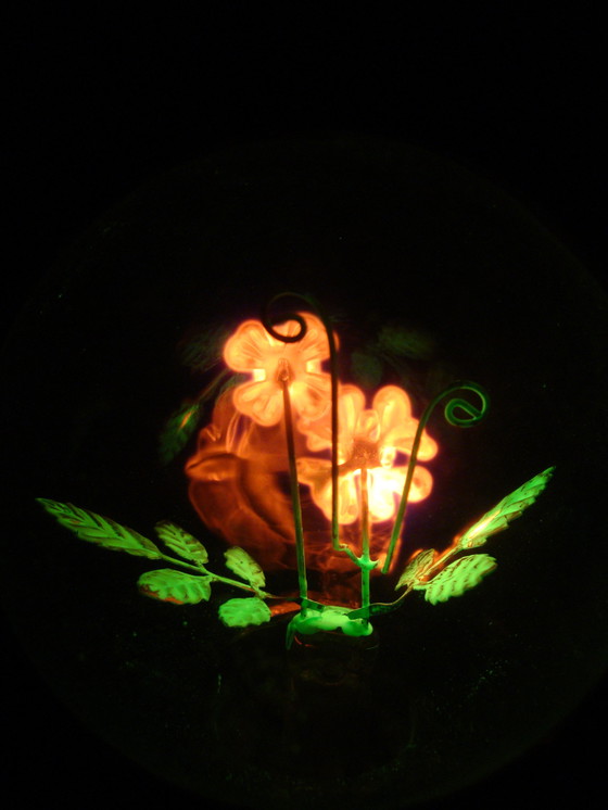 Image 1 of Aerolux gas discharge lamp with flowers and leaves