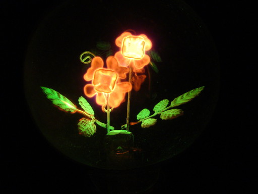 Aerolux gas discharge lamp with flowers and leaves