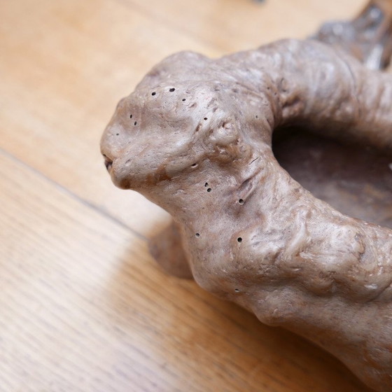 Image 1 of Ciotola "Root" in legno di metà secolo, Francia, anni '70