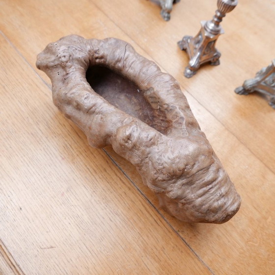 Image 1 of Ciotola "Root" in legno di metà secolo, Francia, anni '70