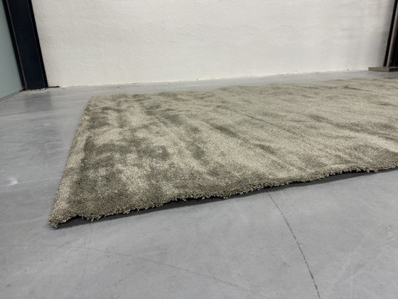 Image 1 of Brink En Campman Rug Green 200X290