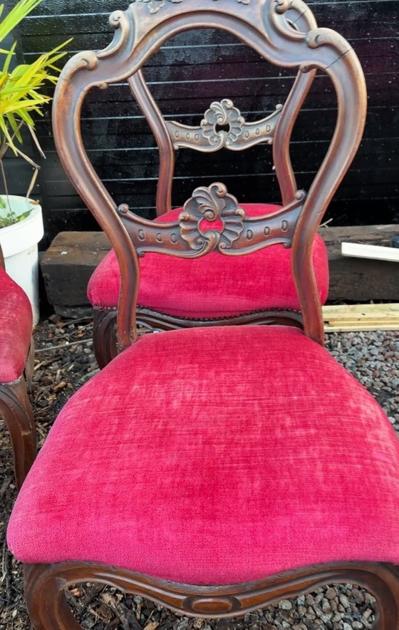 Image 1 of 5X Antique Chairs Rococo / Louis Xv Style