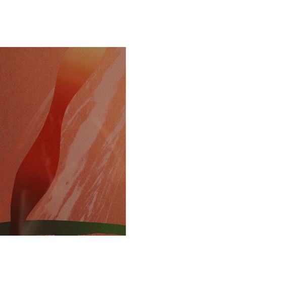 Image 1 of Vintage serigraph Amaryllis by Curt Hillfon, 1960s
