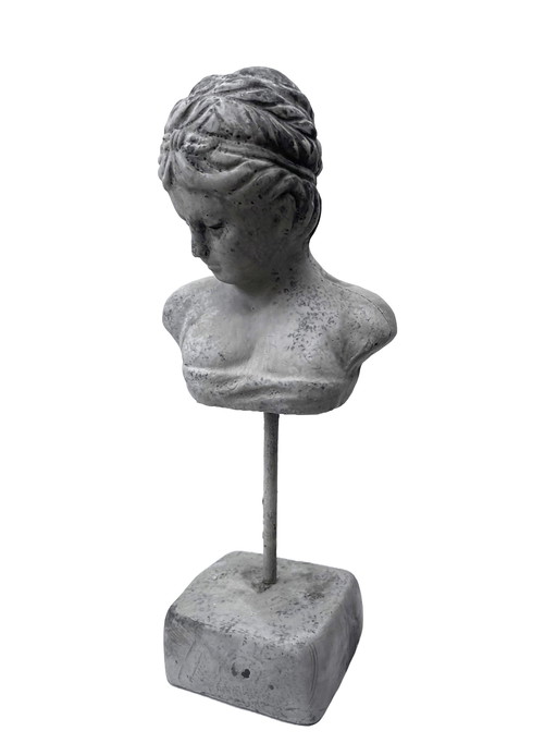 Rustic Bust