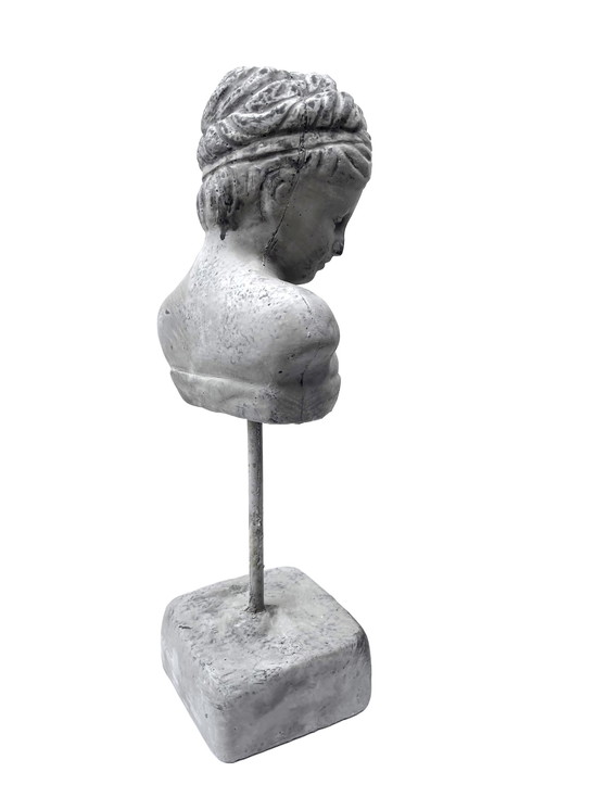 Image 1 of Rustic Bust