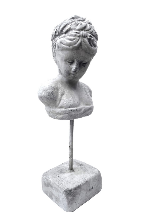 Image 1 of Rustic Bust