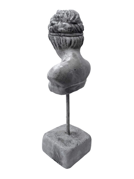 Rustic Bust