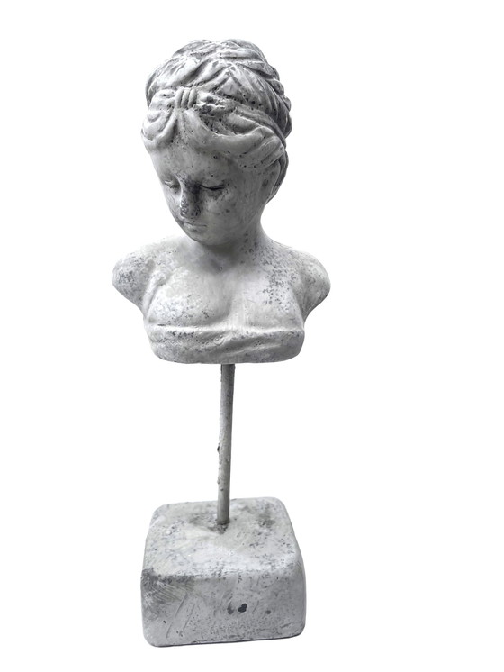 Image 1 of Rustic Bust