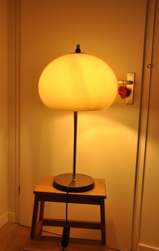 Image 1 of Dijkstra Mushroom table lamp