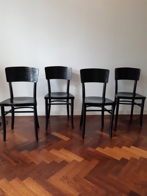 Image 1 of 4 x Thonet chairs