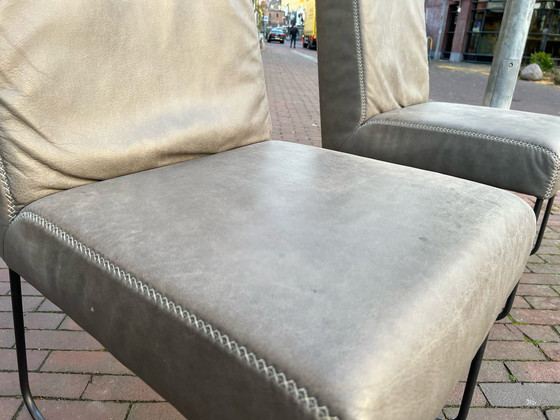 Image 1 of 4 bert plantagie Chaise à manger en cuir