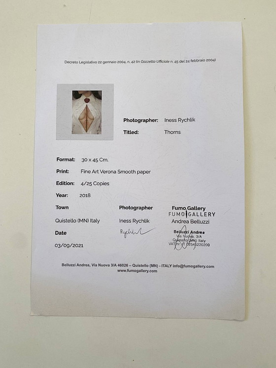 Image 1 of Espinas de Iness Rychlik Fotografía artística