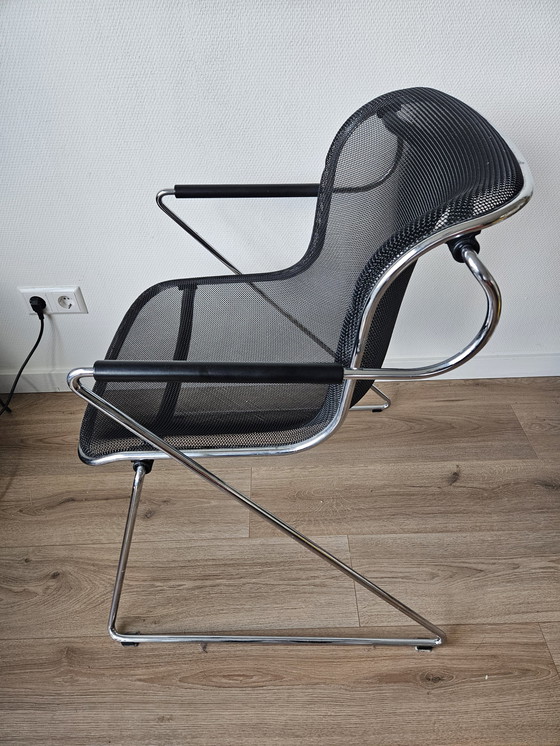 Image 1 of 5x Castelli Penelope Chairs