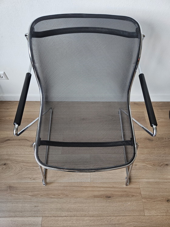 Image 1 of 5x Castelli Penelope Chairs