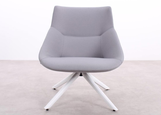 Image 1 of Forma 5 Bow lounge chair gray