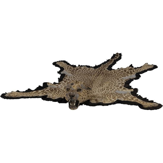 Image 1 of Pelle di leopardo d'epoca, 1943