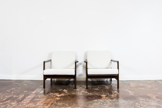 Image 1 of Pair of Armchairs B-7522 by Zenon Bączyk, Poland, 1960s