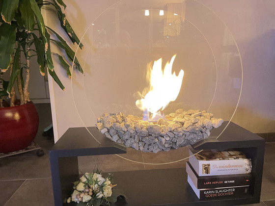 Image 1 of Mobile Functional Decorative Atmosphere Fireplace